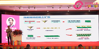 2019第三屆太陽(yáng)鳥(niǎo)畜牧產(chǎn)業(yè)無(wú)抗發(fā)展大會(huì)(王愛(ài)勤研究員報(bào)告) 2019第三屆太陽(yáng)鳥(niǎo)畜牧產(chǎn)業(yè)無(wú)抗發(fā)展大會(huì)(王愛(ài)勤研究員報(bào)告)